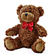 Adorable Plush Bear – Flowers By Design, Midland TX