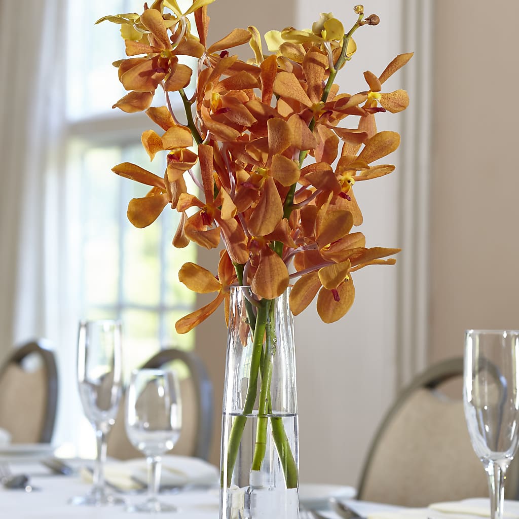 Orange Mokara Bud Vase – Flowers By Design, Midland TX