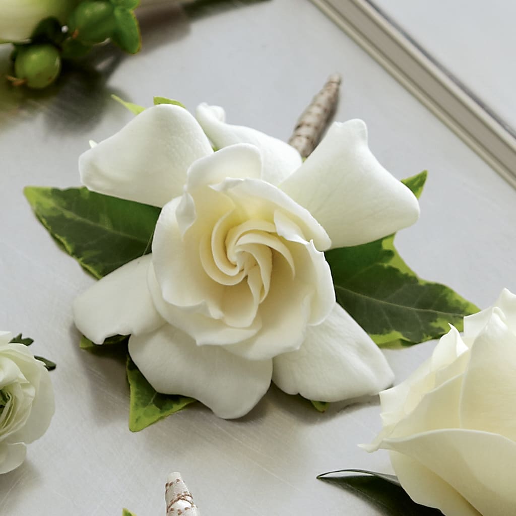 Gardenia Boutonniere – Flowers By Design, Midland TX