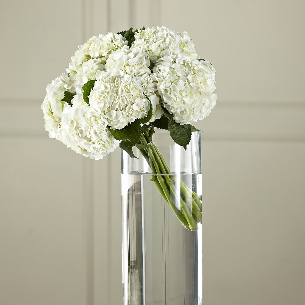 White Hydrangea Hand-Tied Bouquet – Flowers By Design, Midland TX