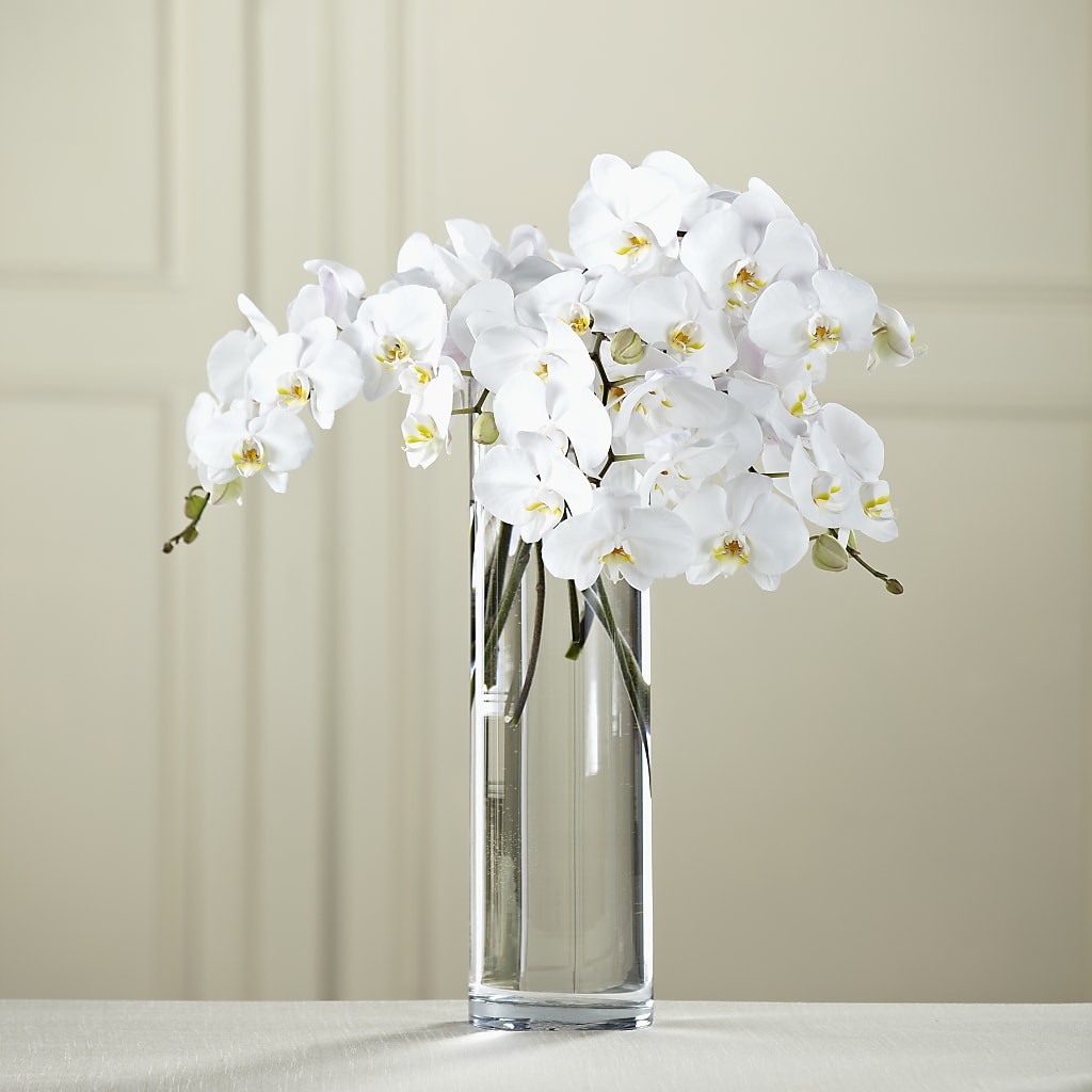 White Phalaenopsis Bouquet – Flowers By Design, Midland TX
