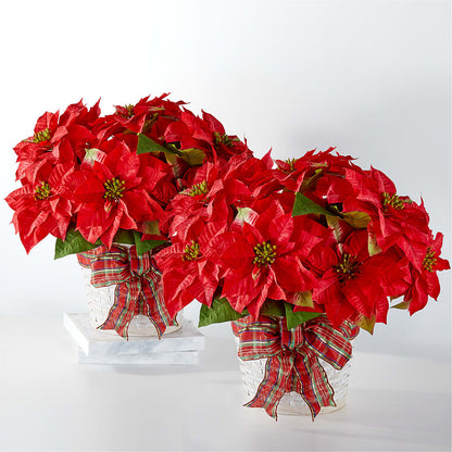 Happiest Holidays Poinsettia Bundle –  Flowers By Design, Midland TX