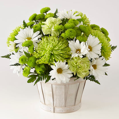 Lucky Charm Basket (Standard) –  Flowers By Design, Midland TX