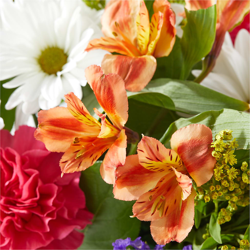 Oopsie Daisy Box Bouquet –  Flowers By Design, Midland TX