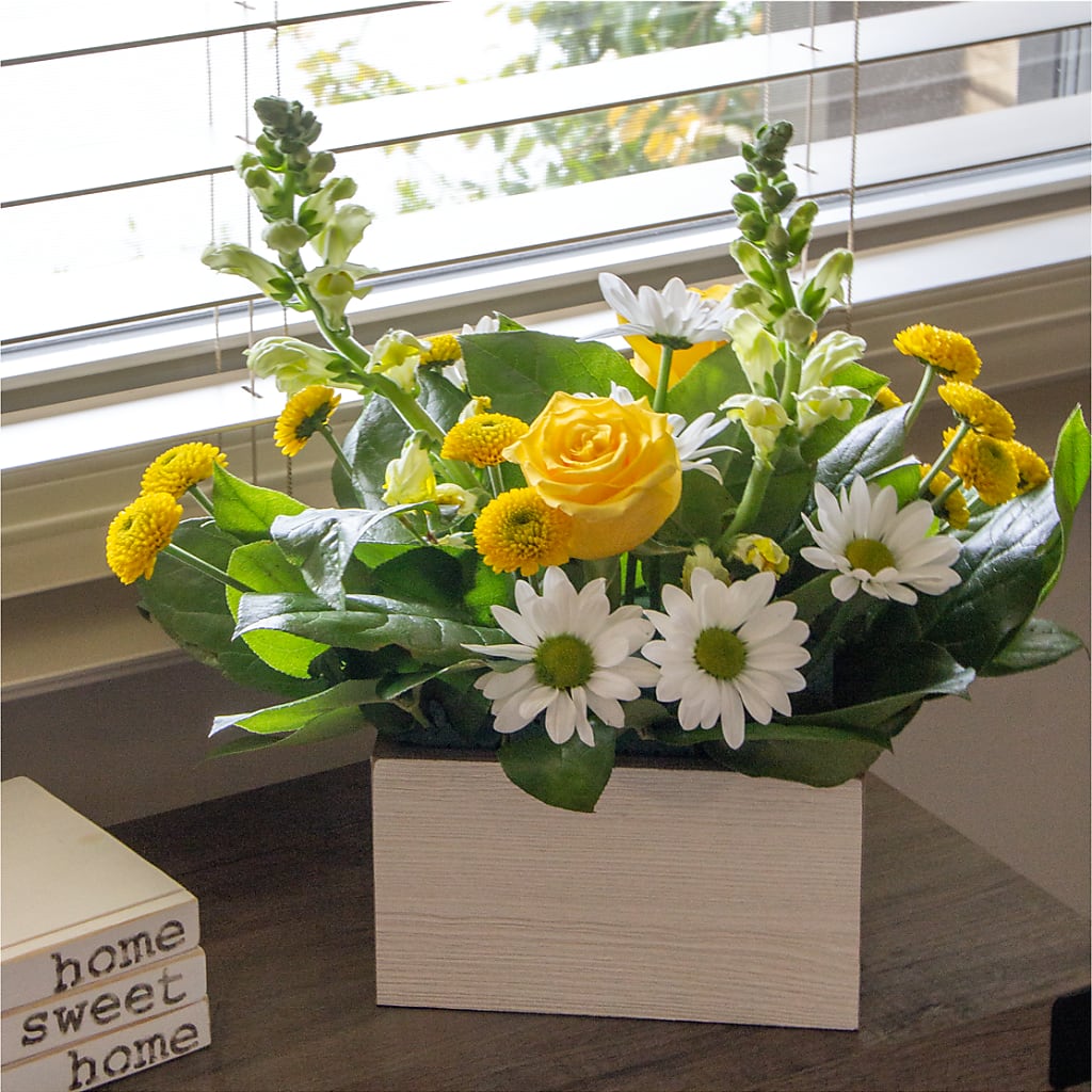 Sun Salutation Box Bouquet –  Flowers By Design, Midland TX