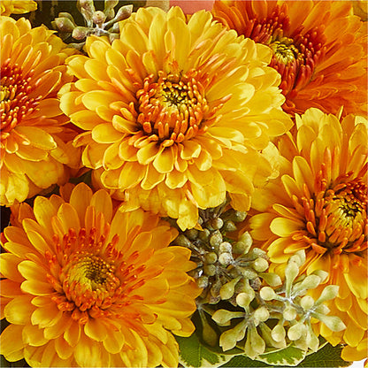 Peachy Pumpkin –  Flowers By Design, Midland TX