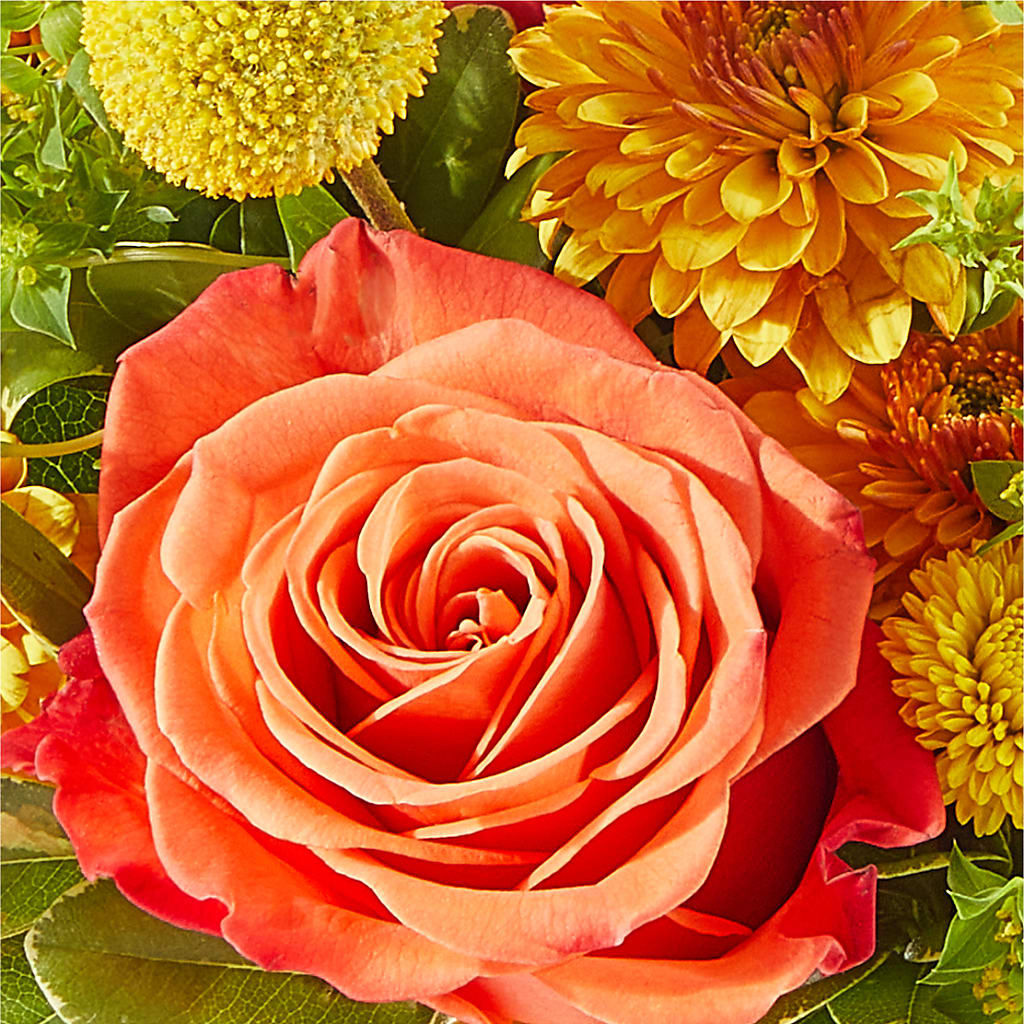 Gourdgeous Pumpkin –  Flowers By Design, Midland TX