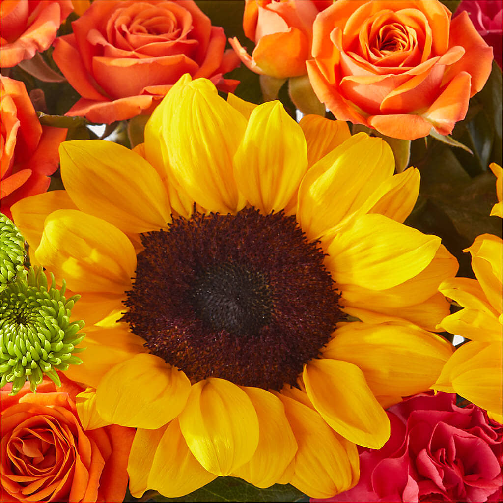 Sun-drenched Blooms Box Bouquet –  Flowers By Design, Midland TX
