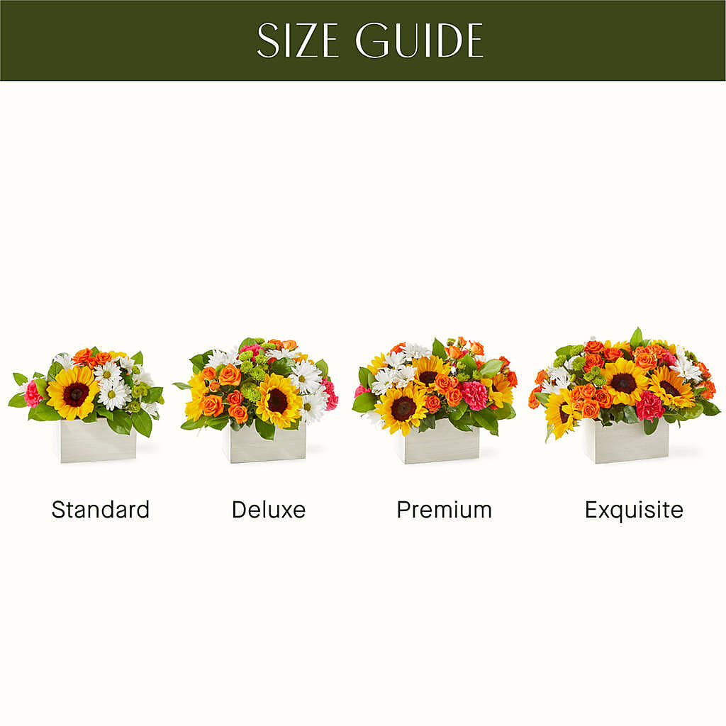 Sun-drenched Blooms Box Bouquet –  Flowers By Design, Midland TX