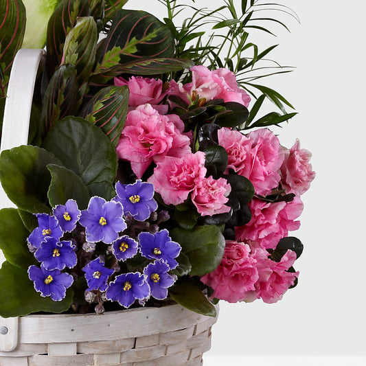 Peaceful Garden Planter –  Flowers By Design, Midland TX
