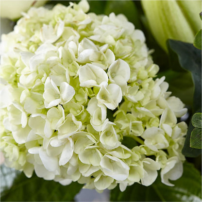 Classic Ivory – A Florist Original –  Flowers By Design, Midland TX