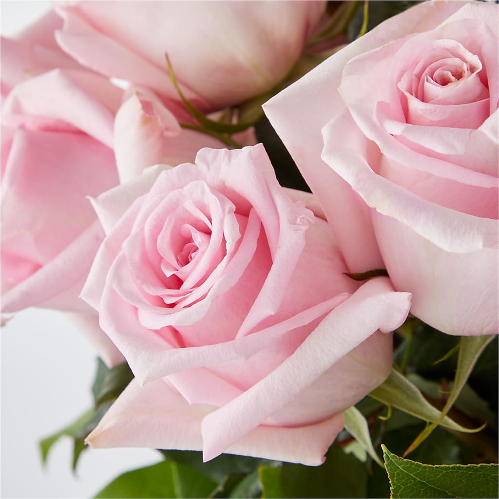Picture Perfect Pink Rose Bouquet –  Flowers By Design, Midland TX