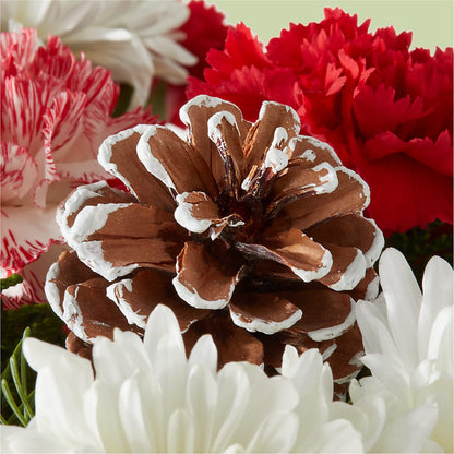 Candy Cane Lane Bouquet –  Flowers By Design, Midland TX