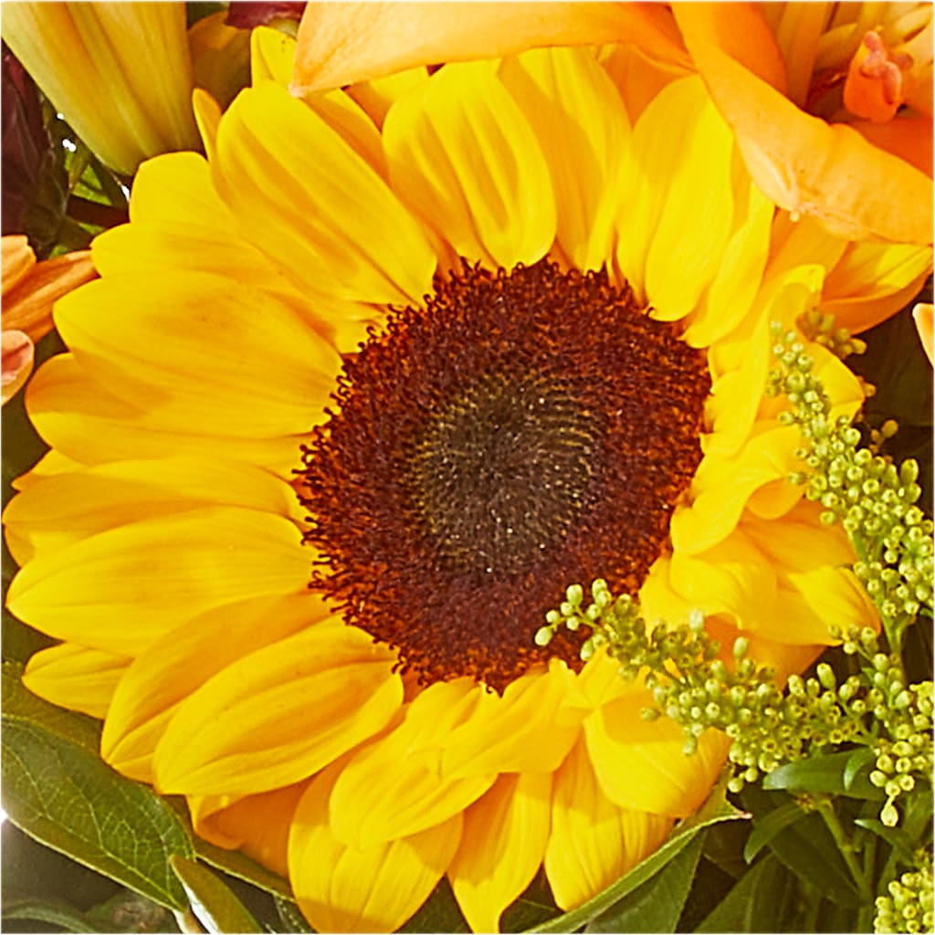 Seasons Change Bouquet –  Flowers By Design, Midland TX