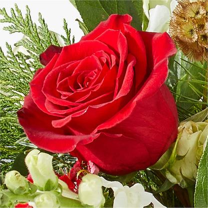 Deck the Halls Bouquet –  Flowers By Design, Midland TX