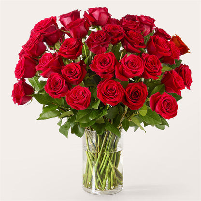 The One Red Rose Bouquet –  Flowers By Design, Midland TX