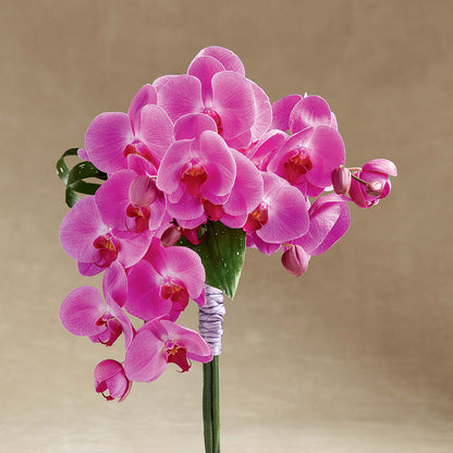 Glorious Bouquet –  Flowers By Design, Midland TX