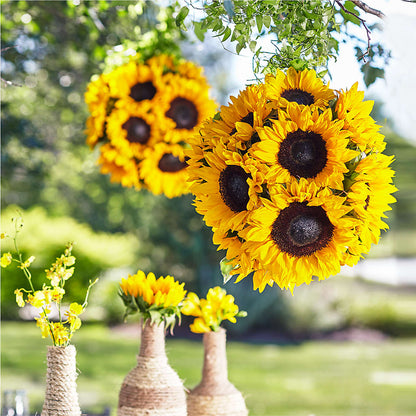 Sublime Garden Hanging Arrangement –  Flowers By Design, Midland TX