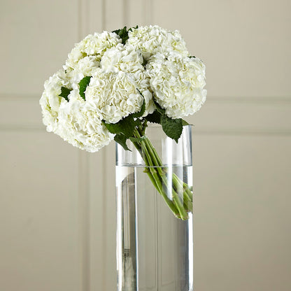 White Hydrangea Hand-Tied Bouquet –  Flowers By Design, Midland TX