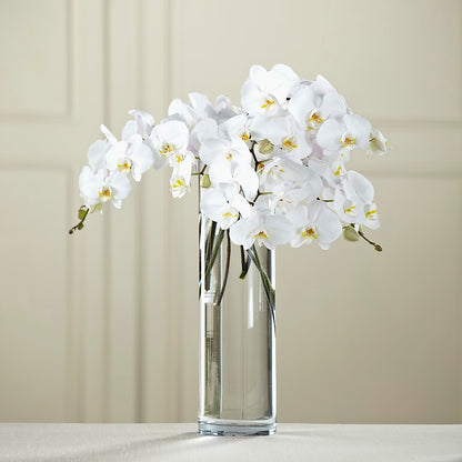 White Phalaenopsis Bouquet –  Flowers By Design, Midland TX